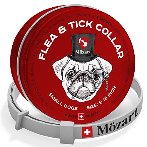 LoveToyDogs's tweet image. Flea and Tick Collar for Small Dogs – Swiss Quality – Safe &amp;amp; Eco-Friendly – Hypoallergenic Natural Essential Oils – Flea Tick Mosquito Prevention Pets – 6 Month Protection – Waterproof Flea Collar dlvr.it/QrYHxl #FleaAndTickControl #fleaandtick