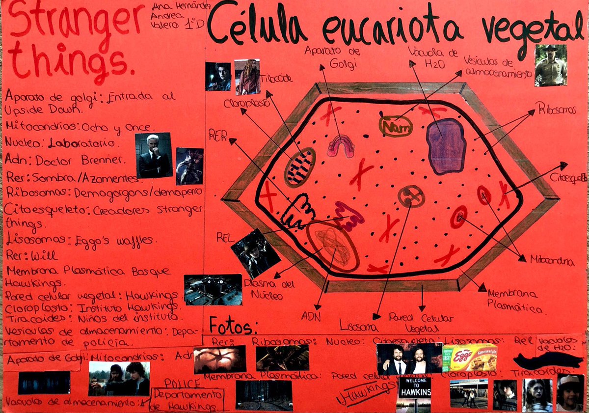 maescalzo's tweet photo. #pasiónporlabiología @gredossandiego Y si veo células por todas partes? Eso les pasa a los alumnos de 1ESO de Gsd Alcalá... https://t.co/NUxkr4pxu6