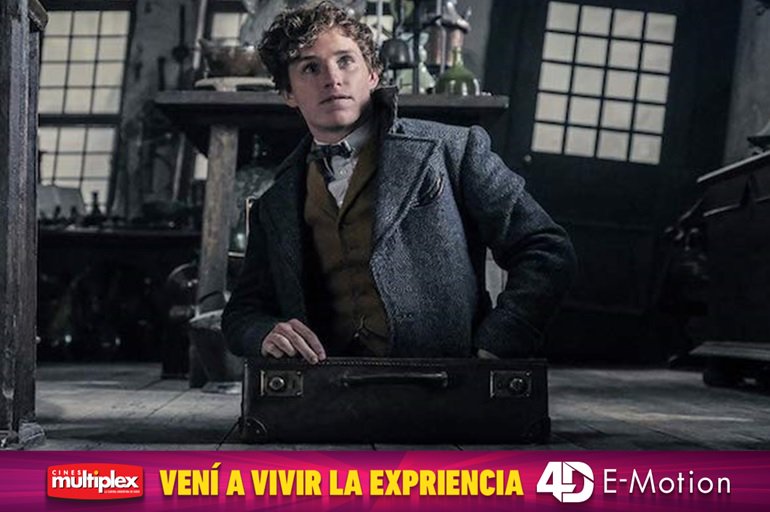 MultiplexCines's tweet photo. De la creadora de #HarryPotter, no te pierdas 📽️ #AnimalesFantásticos: #LosCrímenesdeGrindelwald ... El destino de uno, el futuro de todos... 💫 #VaritasListas
Comprá tus entradas en 👉 https://t.co/tEgKKcCifL https://t.co/JkxsnQi3yC