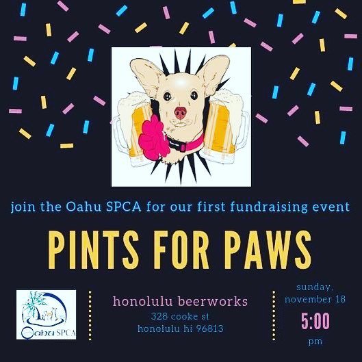 HonoluluBeer's tweet photo. Guess what?! We are open to the public today at 5-10pm for Pints for Paws Fundraiser event with the Oahu SPCA! 25$ entry fee that goes directly towards the shelter animals! Come support a great cause! We have trivia and raffle prizes #HonoluluBeer #Honol… https://t.co/vwfyiqeG5V https://t.co/6yJpD01nPR