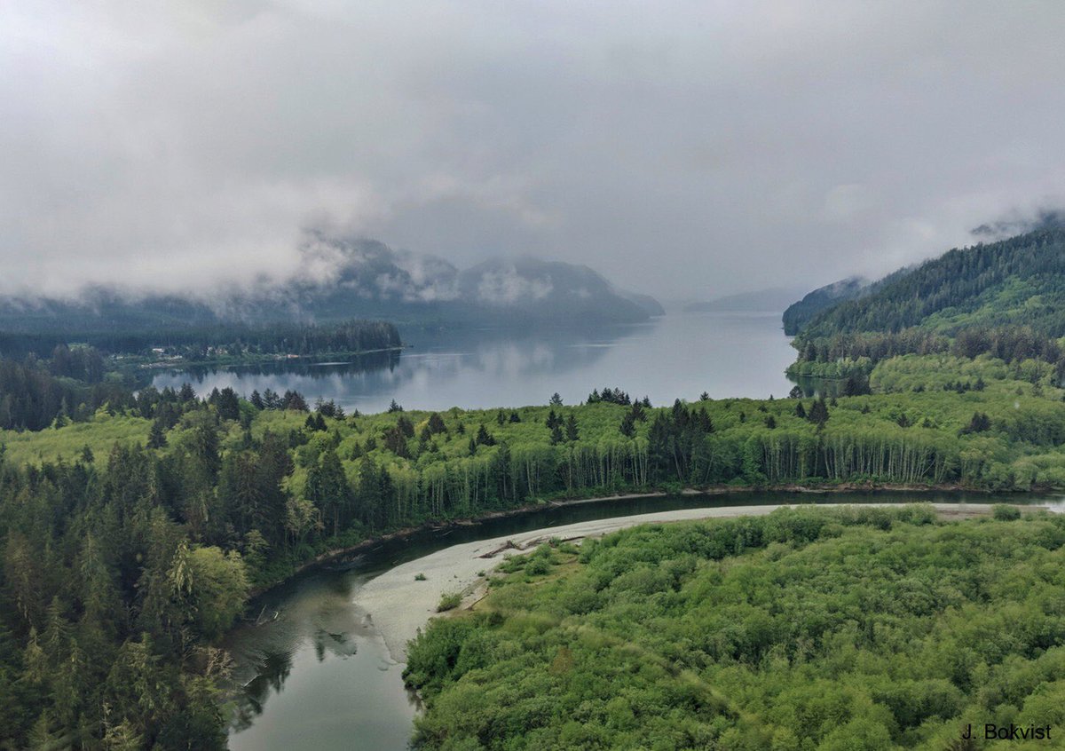 BamfieldMSC's tweet image. Want to work on both sides of @RockiesCanada? Consider a PDF opportunity with @Rogers_LabUofC to study Pacific Salmon evolution with @BamfieldMSC, @DFO_Pacific and @HuuayahtFN. See: people.ucalgary.ca/~srogers/pdf-o…. Please share widely. #DirectorTweets #PacificSalmon