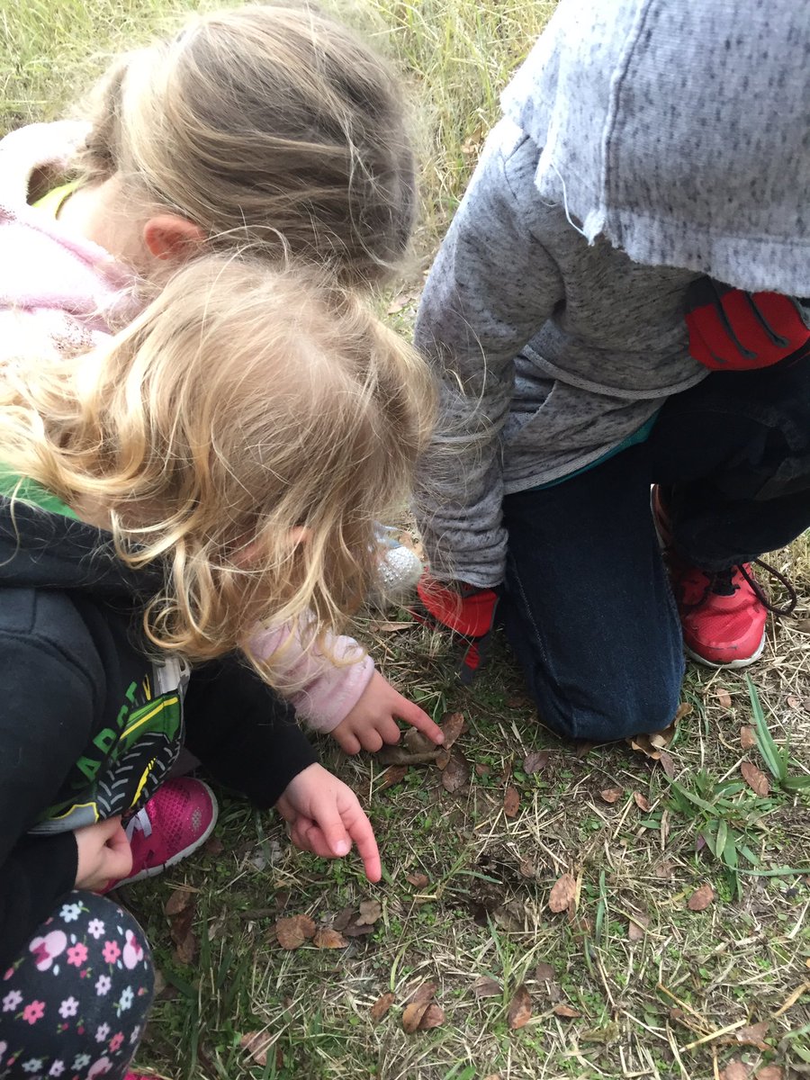 LindsayLBrock's tweet photo. As a parent, I hope my kids become #foreverlearners and know that learning can happen any time, any place. We followed deer tracks out at my parents’ farm while helping to clear some brush! #momlife #raisinglearners #learningatthefarm https://t.co/jJvq1hTG5V