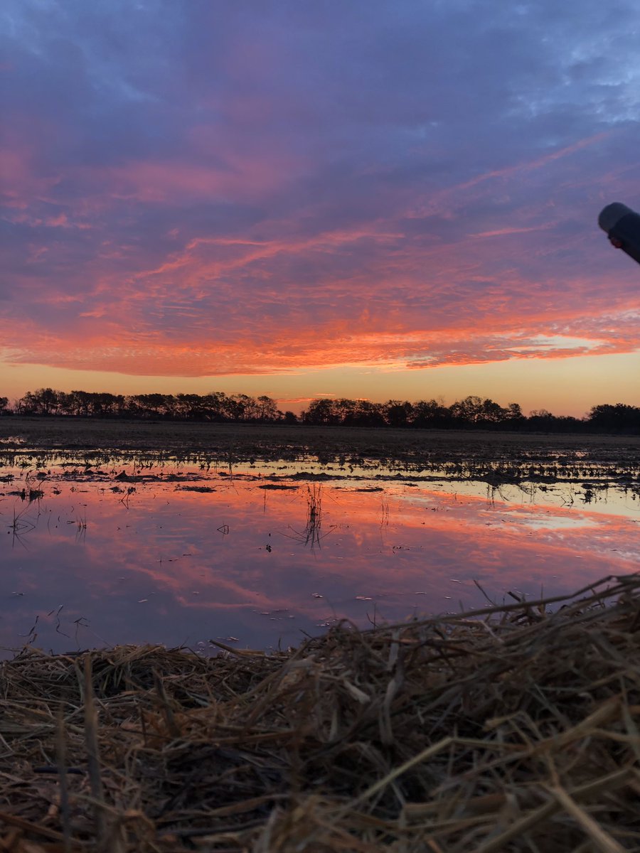 CajunMallard's tweet photo. View from the Duck Blind this Morning. #sunrise #duckblind https://t.co/2kIFmoLY43