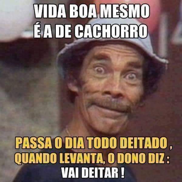 VaroagemSanta's tweet photo. Não é ?😂 https://t.co/kUWTakHTf0