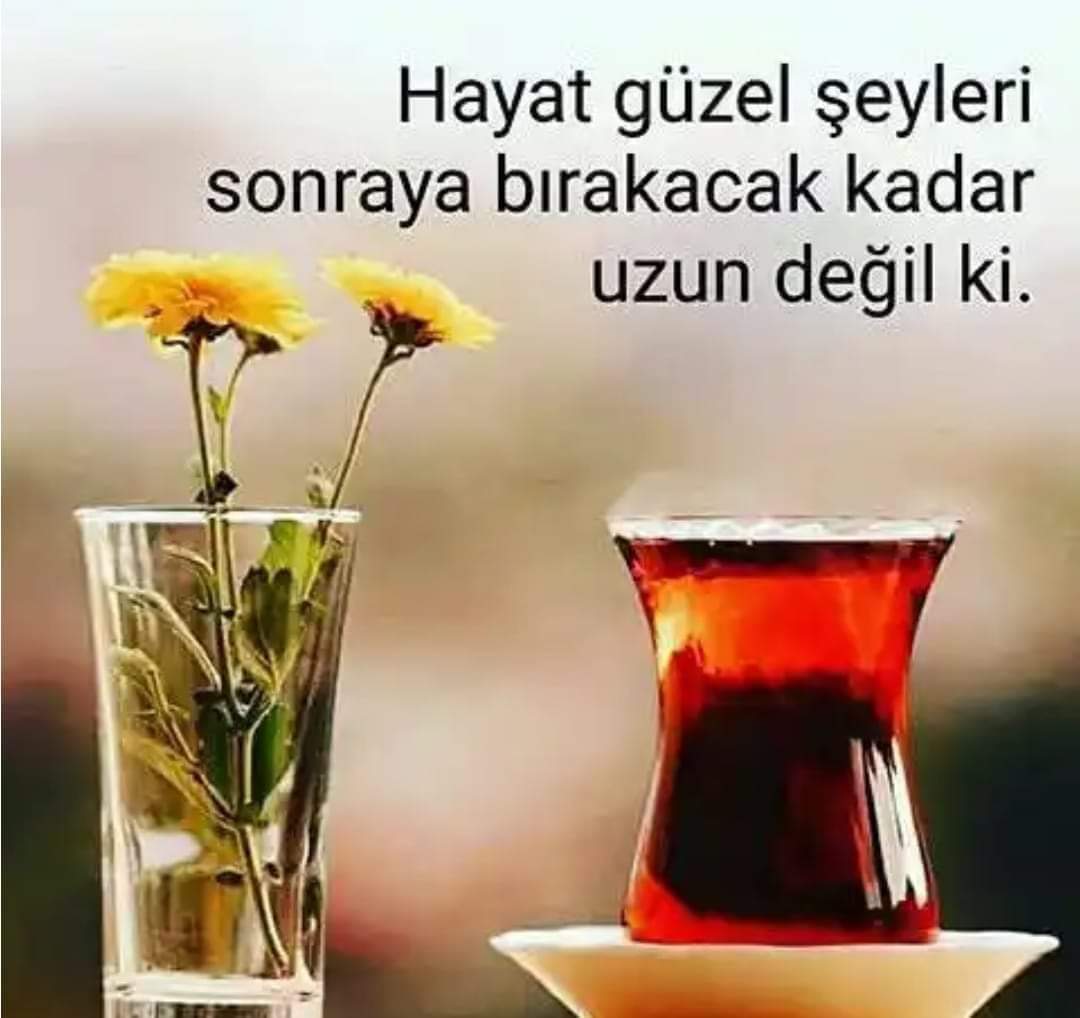 ozgur (@ozgrada10_ozgur) on Twitter photo 