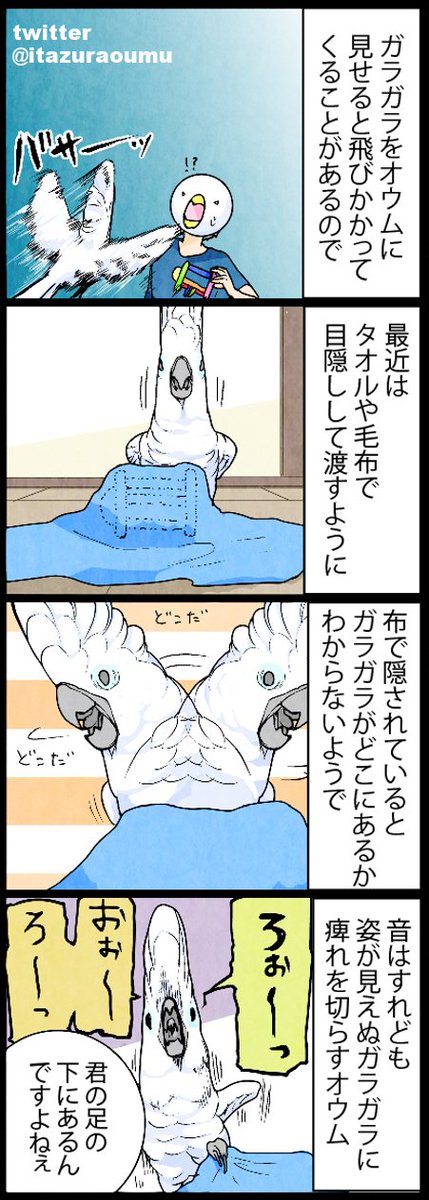 きっとこれは、オモチャを生み出す魔法の布･･･？ 