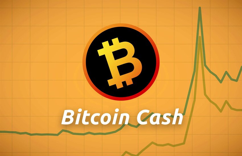cointiko's tweet photo. What is Bitcoin Cash? #bitcoinnews #blockchaintechnology #bitcoinprice #bitcoinmining #cryptocurrencynews #btc #btcprice #ethereum #value #bitcoinwallets #bitcoin #moneromining #Blockchainsllc #BitcoinTalk  #wallet #BitcoinCash https://t.co/WNT4Wrc7kC https://t.co/yWntIhPPFX