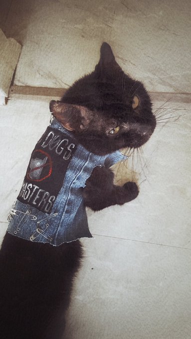 Rest In Peace Gigi, you were old and stinky and I loved you so much https://t.co/0zktJuB6Yh<a href="/tag/onlyfans"class="tags"><span>#onlyfans</span></a>