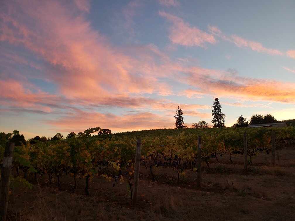 Thanksgiving Weekend Open House coming up... Just sayin'.