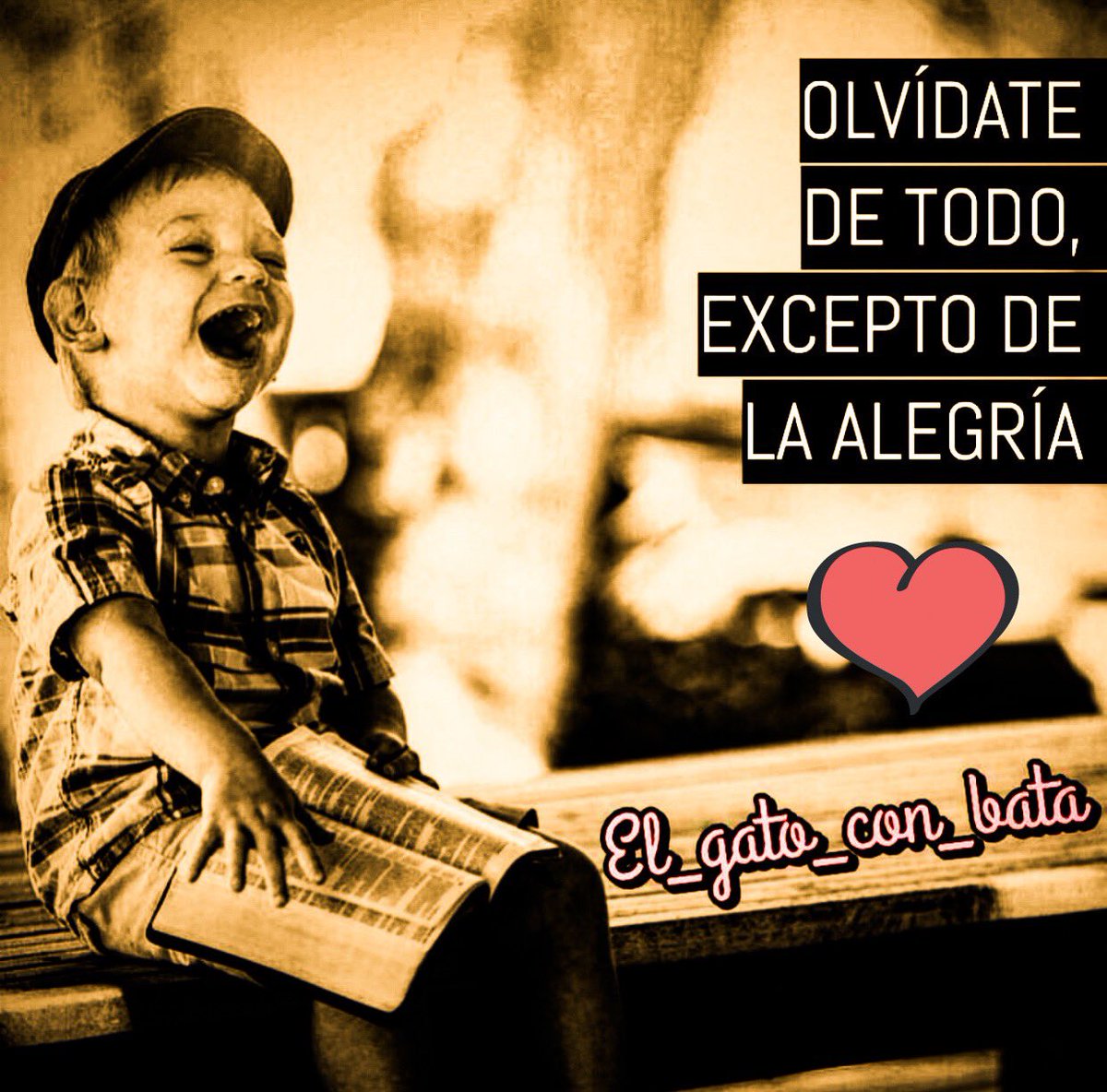 Viva Mejor on Twitter: Viva Mejor on Twitter:
