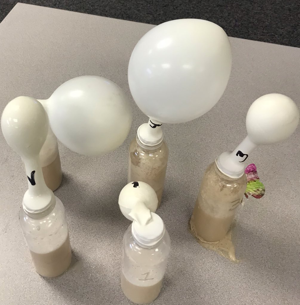 Friday Experiments: Fast Acting Yeast! What happens after 15 mins - 45 minutes!