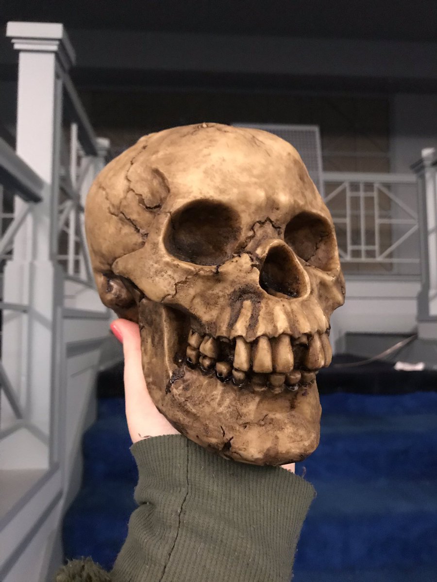 freemason2mnsn's tweet photo. When your husband says “hey I found a skull in a closet on the fourth floor....” Don’t worry all of you conspiracy theorists, it has a big lots price tag on the bottom. 😉💀. #notasacrifice #thatsamyth #freemasontomansion
#skull #diy #renovation #renovations #oldhouse https://t.co/curieRs7Ls