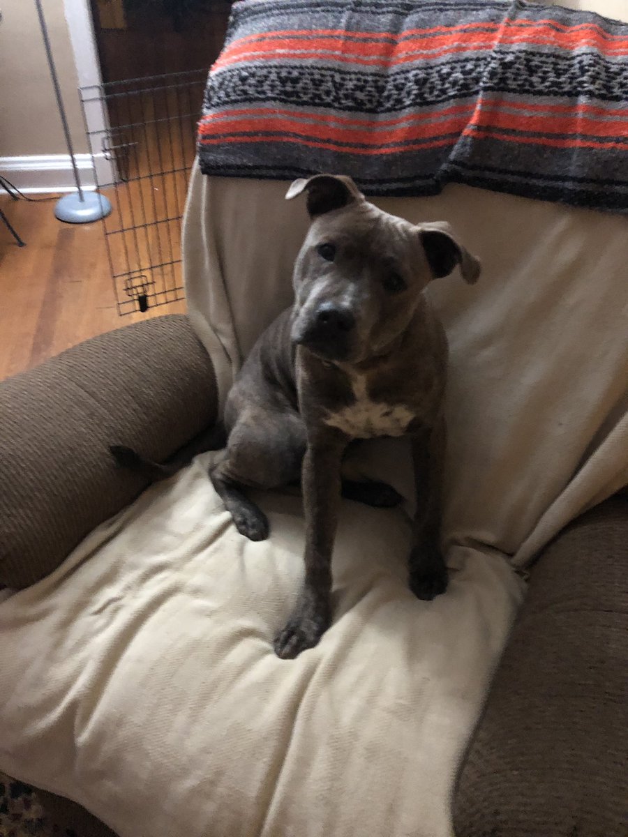 Sheila "Boo" Peppers tweet media