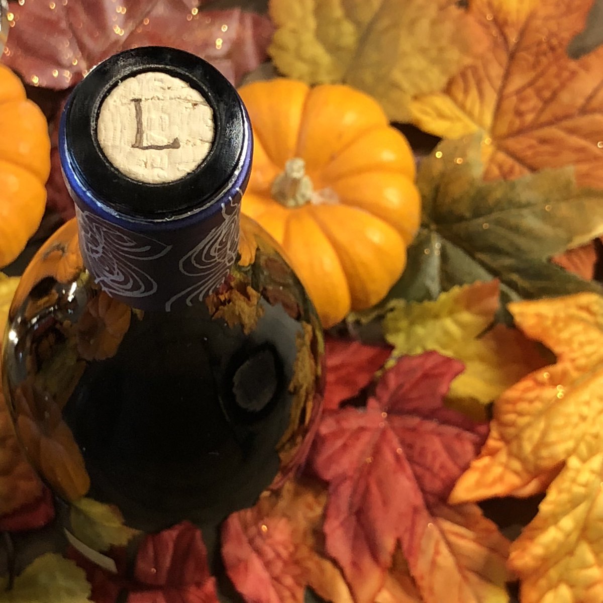 🍁 Little details 🍁

#levendi #fall #pinotnoir #wine