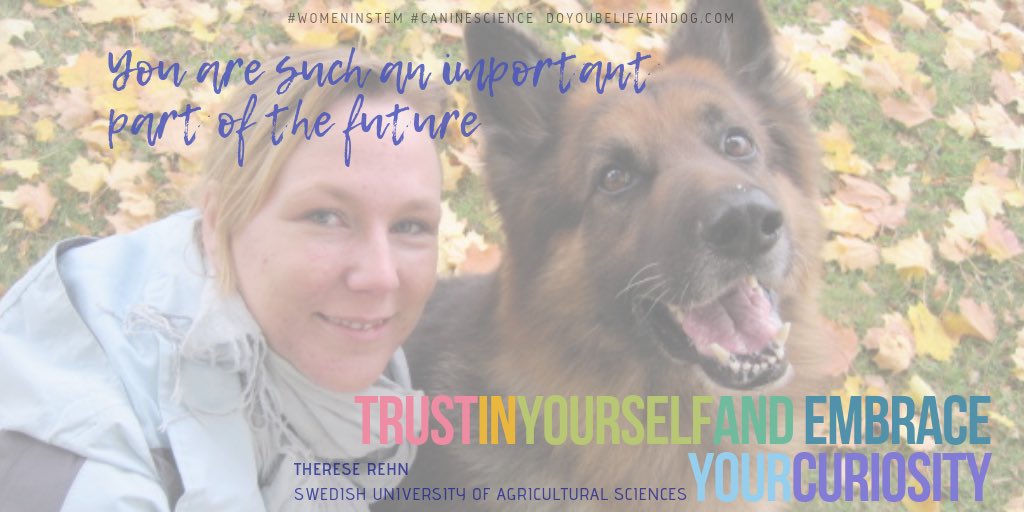 DoUBelieveInDog's tweet photo. THERESE REHN: “What’s amazing about my work as a scientist is that it allows me to study the behavior and welfare of dogs, my greatest interest from childhood! I have always cared for animals. 1/4 #caninescience #womeninSTEM #womeninscience #dogs #science https://t.co/Dd0EPR9DgX https://t.co/tzElHCFfg6