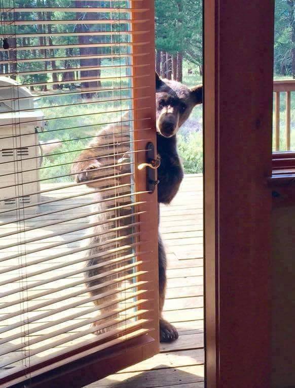 AgathaChocolats's tweet photo. In six words or fewer, write a story about this photo.
#sixwordstory #amwriting https://t.co/bA8EGlXbc8