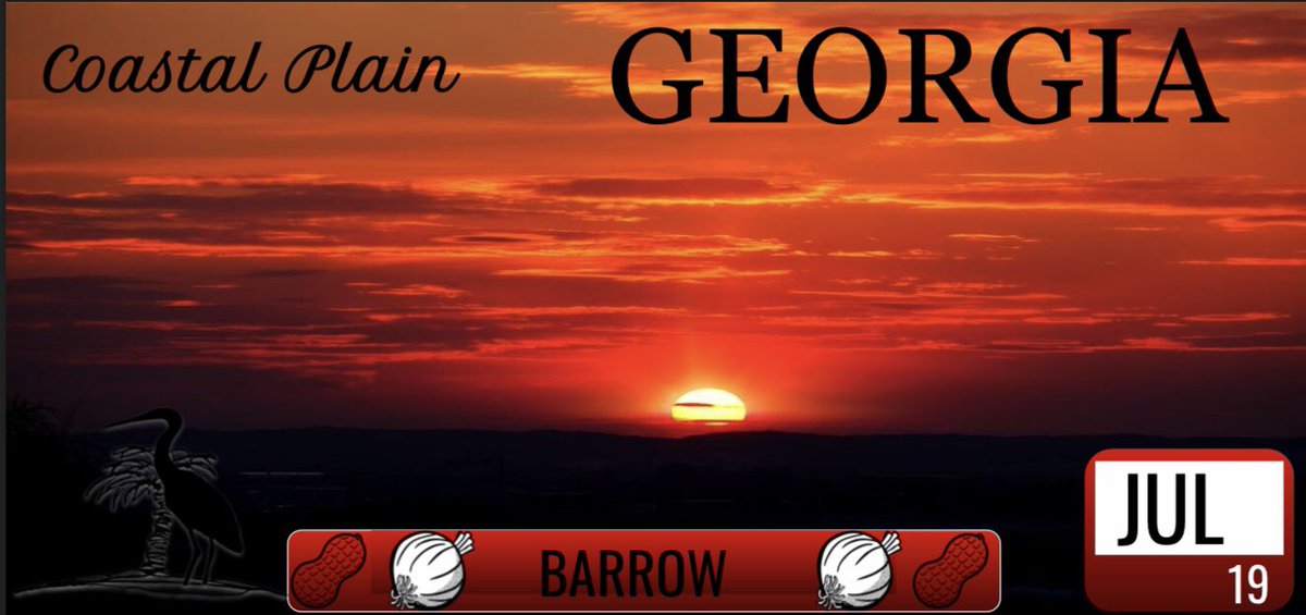 mrsknightWJES's tweet photo. If 3rd graders got to design a Georgia License Plate, here is what they would look like! Based on one of the five Georgia regions! @georgiadeptofed @GeorgiaDDS @GADeptofRevenue #proofthatweareawesome https://t.co/eaMsT9pBnf