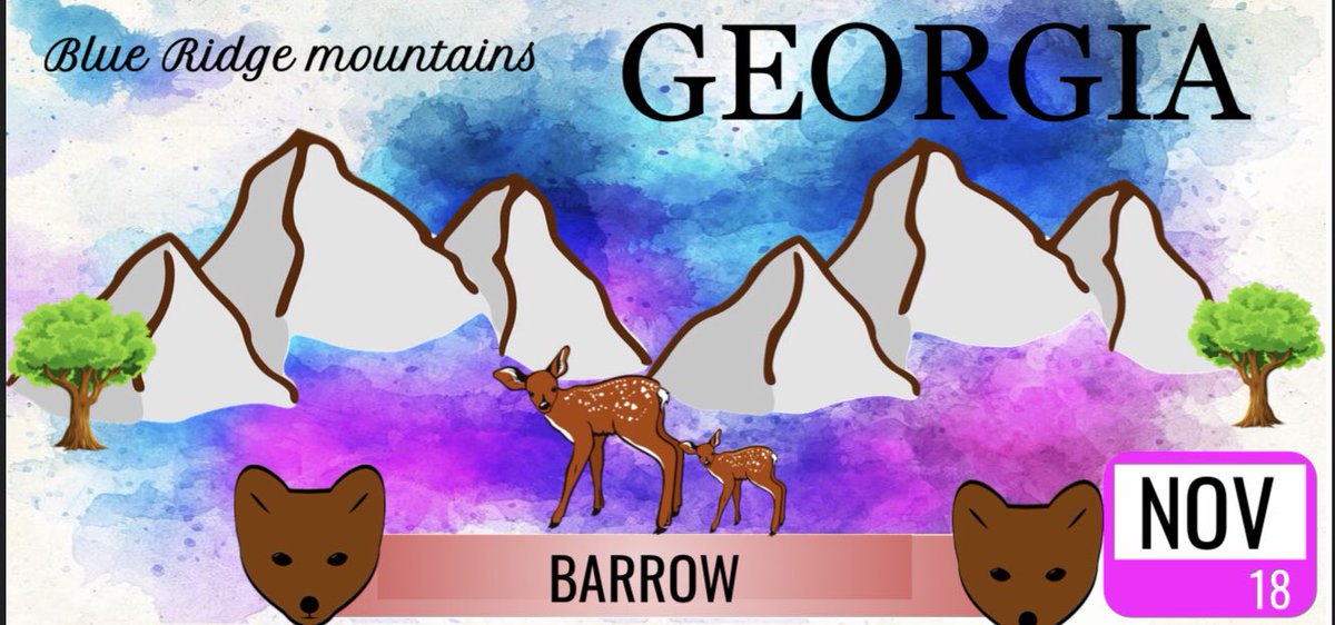 mrsknightWJES's tweet photo. If 3rd graders got to design a Georgia License Plate, here is what they would look like! Based on one of the five Georgia regions! @georgiadeptofed @GeorgiaDDS @GADeptofRevenue #proofthatweareawesome https://t.co/eaMsT9pBnf