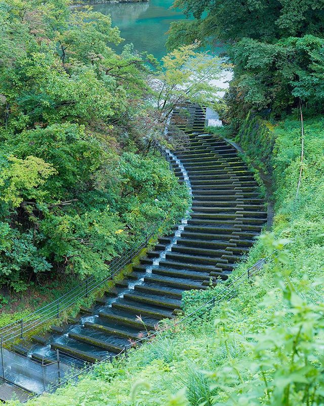 OfficialTEPCO's tweet photo. 中岩ダム 魚道
魚が上流に移動する為の通り道です。
Fishway at Nakaiwa dam
#東京電力 #東電 #tepco #中岩ダム #ダム #栃木県 #魚道 #damphoto #damphotography https://t.co/ibt6wvDmYR https://t.co/NgUD3FkHQj