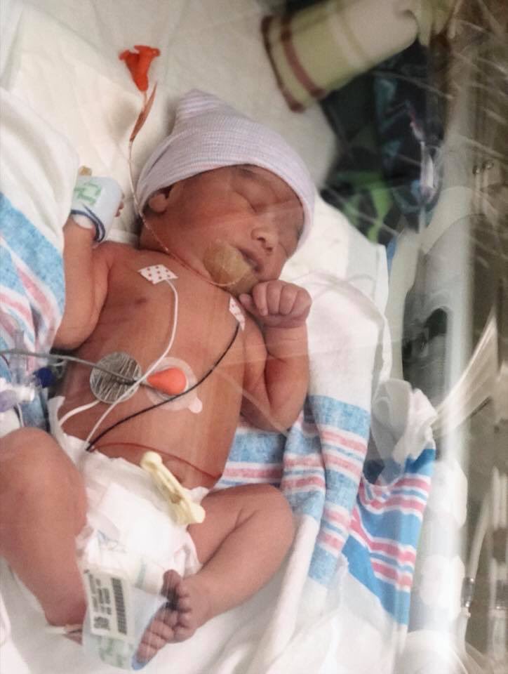 miss__louwho's tweet photo. I didn’t realize but yesterday was #WorldPrematurityDay so here’s to my boys. These little miracles are daily reminders to us that faith conquers fear. 💜 #preemiepower #35weeker #33weeker #soloved https://t.co/8xhAstz5M9