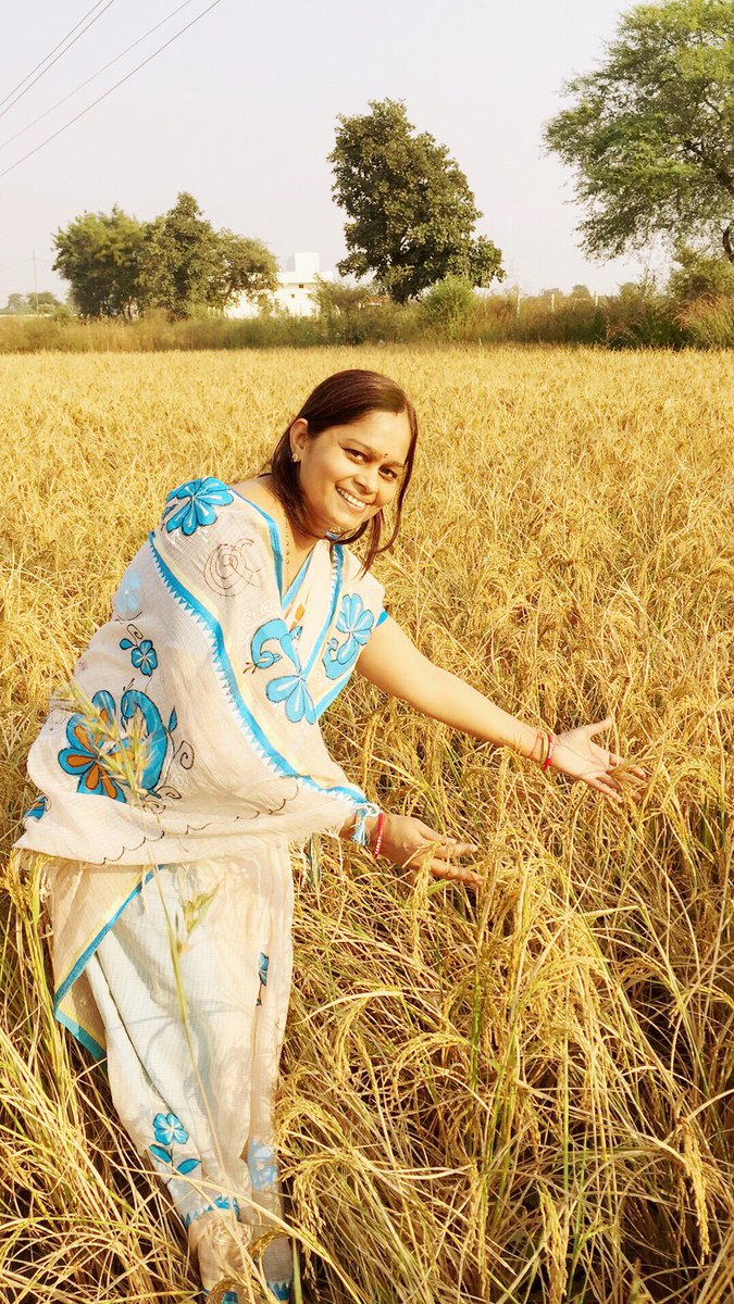 TweetyVerma's tweet photo. 🌾🌾🌾🌾🌾🌾 https://t.co/ISzeKLrDav