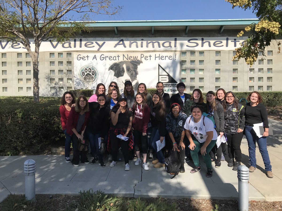 KatBarrell's tweet photo. Such an amazing morning at the animal shelter with these incredible humans!! Thank you all so very much for your dedication and kindness. What a turn out- you made my heart burst with pride !!!🐱❤️🐶 #CommunityService @earpitforward #earpyourcommunity https://t.co/p51p2YoJeV