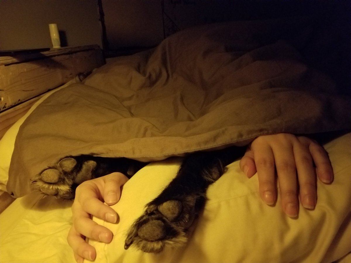 Zoundguy's tweet photo. When the blankets are all encompassing, and the pup just wants lovins https://t.co/sJjYfx1nQM