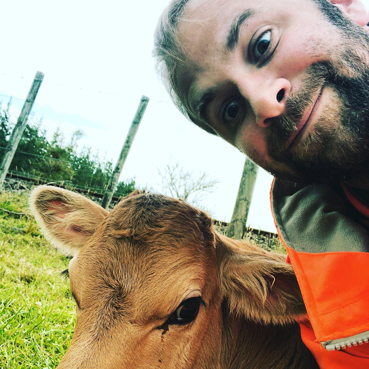 SamBestICE's tweet photo. @ICE_SEEngland @BrehenyCivils Very good indeed @ICE_SEEngland ! Working on a great project, got myself a lifestyle block and we just had a calf born....Of course I miss you all there and the good work we all did together 😉 Happily still flying the flag for ICE here 😄 https://t.co/xKr8x0RxJf