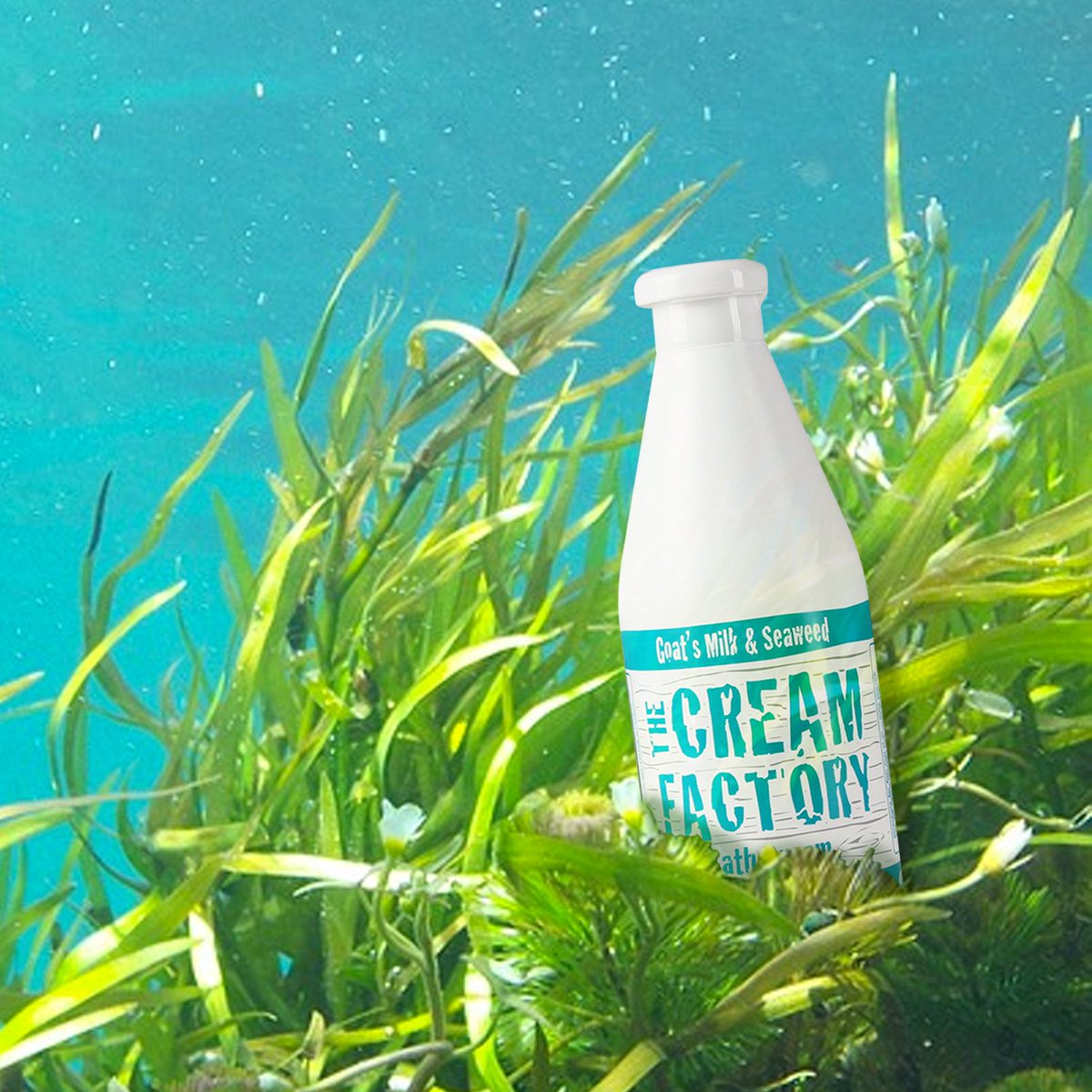 TCFph's tweet photo. Rich in antioxidants and other beauty-benefiting vitamins and minerals, SEAWEED is a force to be reckoned with. It’s a powerful anti-aging ingredient that can regenerate and protect skin. #DessertfortheSkin #TheCreamFactoryPH https://t.co/t13JPV3I1K