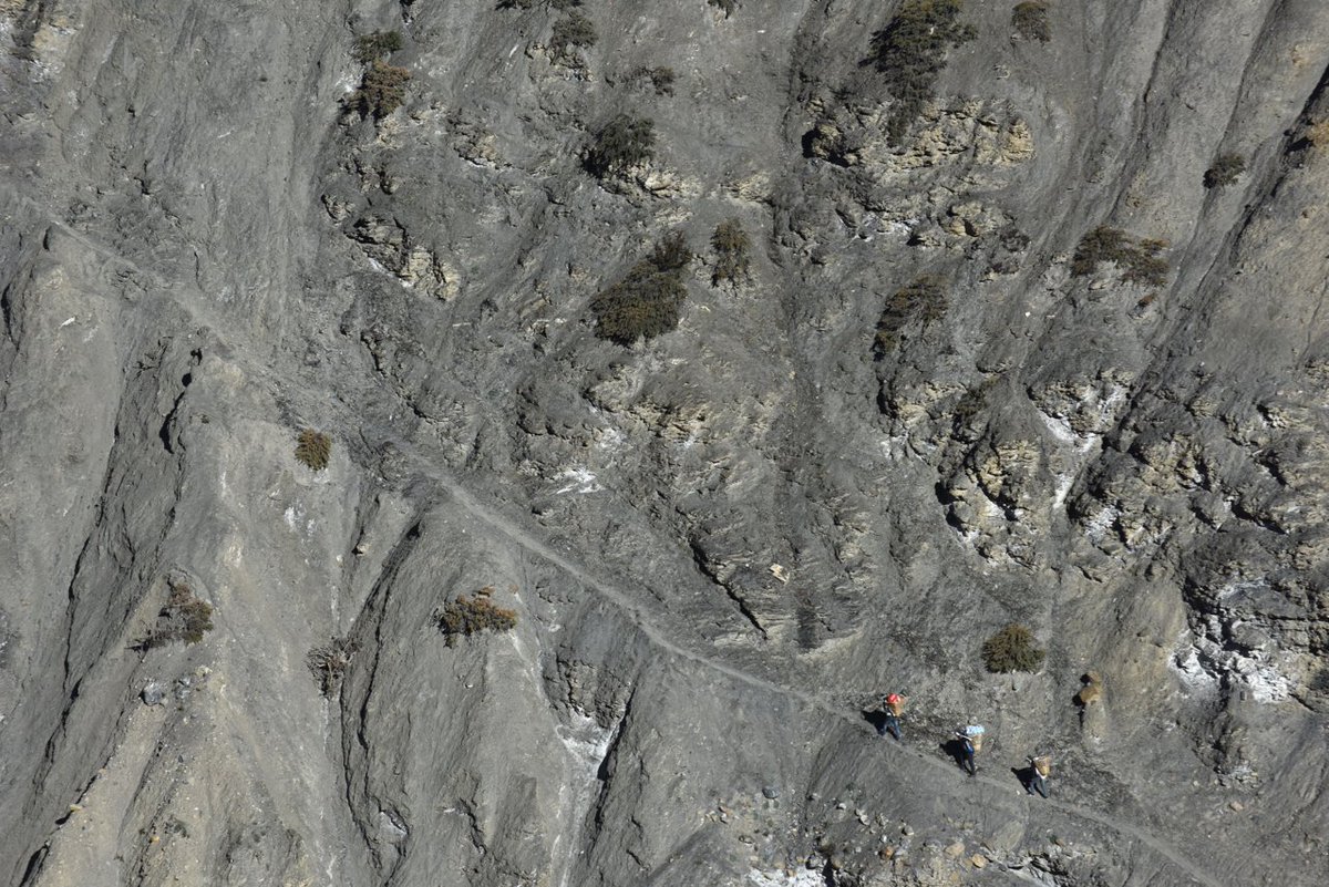 Jeff Fuchs tweet media