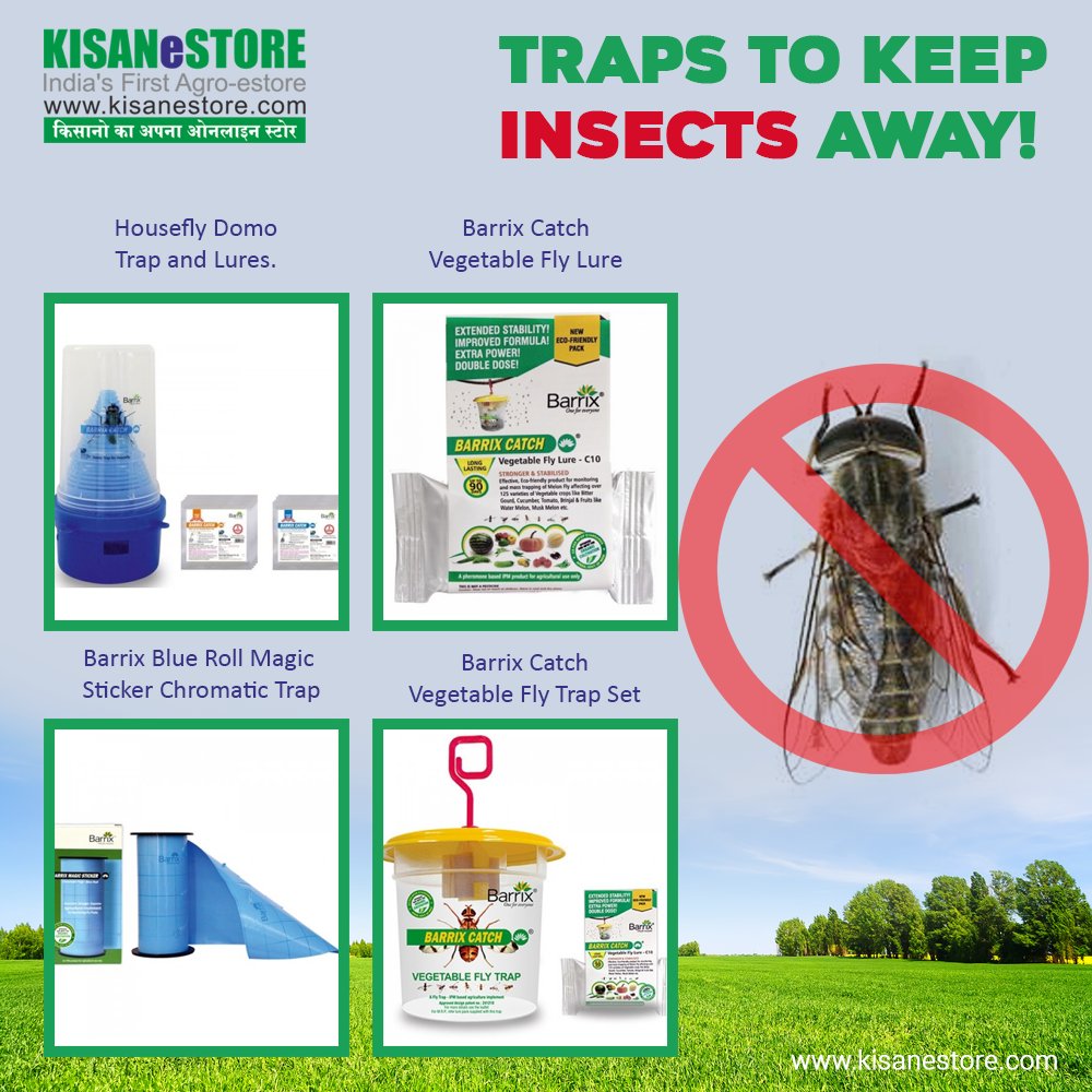 KISANeSTORE's tweet photo. Troubled with insects? We got solutions. Buy any one that meets your requirement from a wide range of Barrix Insect Traps only from https://t.co/sCOevYbIN8
Order Now! Visit https://t.co/RW4qGcagCZ to buy. #InsectTraps #KISANeSTORE https://t.co/ORDezU1j1x