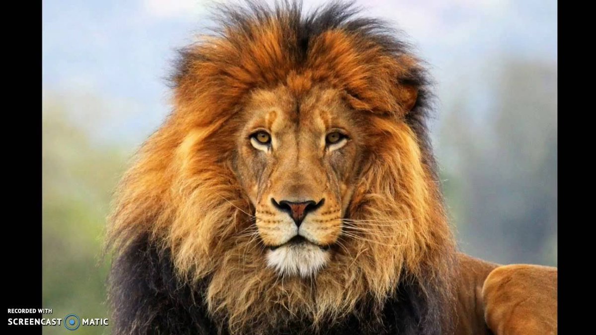 MustangMomof2's tweet photo. Be Strong and Courageous...Joshua 1:9 #encouragement #Strength #Courage https://t.co/hzgFLKPcQA