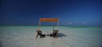 MozambiqueMagic's tweet photo. #corallodge #mozambique #beautifuldestinations #tropical https://t.co/BMFMx3caul https://t.co/sIKQSI4AYb