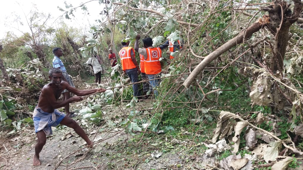 NagoreAmmaHaja's tweet photo. Roadblocks are cleared in #CycloneGaja affected areas of Chintamani - Thalainayur taluk by volunteers of @IndianRedCross #CycloneGajaUpdates சேதமடைந்த சாலைகள் சீரமைப்பு போர்க்கால அடிப்படையில் நடை பெற்று வருகின்றது. @AIADMKOfficial @NewsJTamil @sunnewstamil https://t.co/zkYRI0cRCL