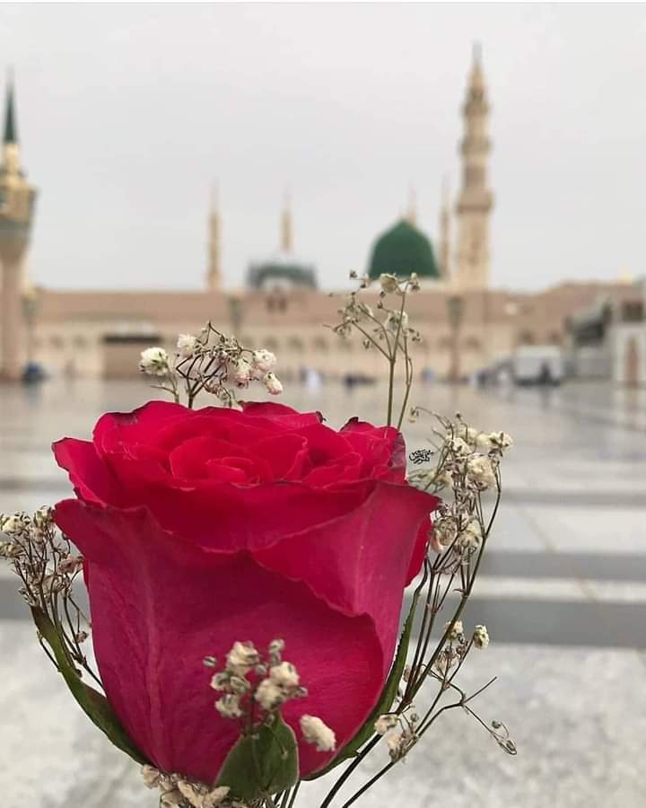 gonulokur53's tweet photo. Bizim kapı dost kapısı, #gelene canımız _________ #kurban..
Selâm Allah' ın selâmı verene canımız kurban...
🤗😊😍🙋♀️
#pazartesi #HayırlıKandiller https://t.co/SpVP1slvJW