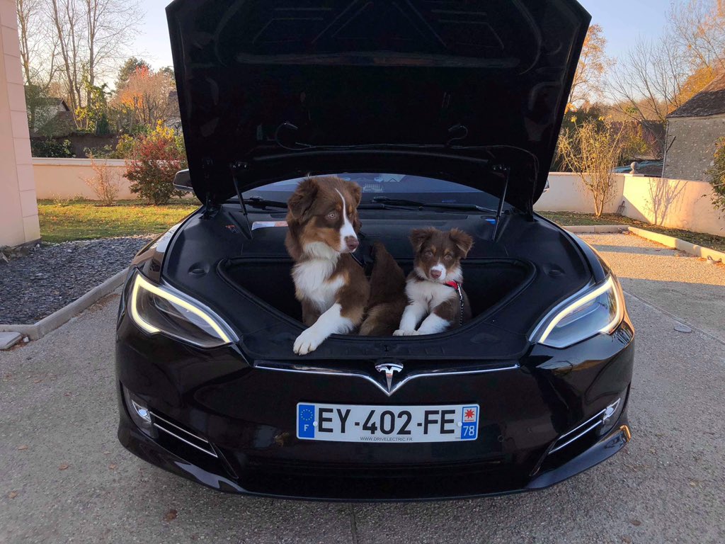 Romeo0503's tweet photo. #Tesla #modelsS #puppylove https://t.co/goNnTTrbOq