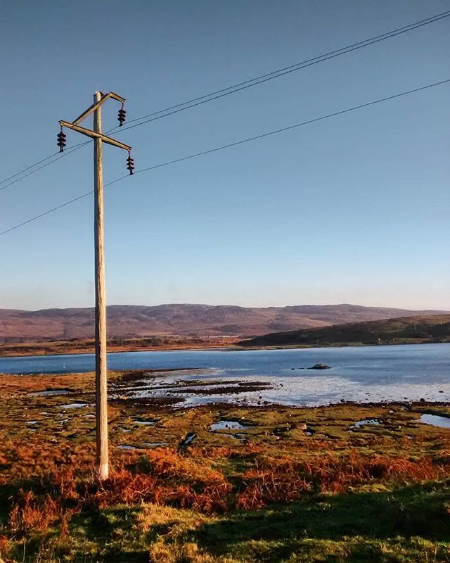 Roy Mohan Shearer (@royshearer) on Twitter photo 