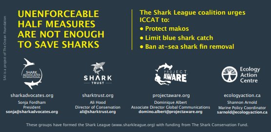 padiaware's tweet photo. #ICCAT: Tell me what you want, what you really, really want
#SharkLeague: I'll tell you what I want, what I really, really want ... I wanna ...
✅ Protect Makos
✅ Limit Blue Shark Catch
✅ Ban at-sea shark fin removal
#Listen2Science #MakeTime4Makos 🦈 https://t.co/9Wcm91zL5i https://t.co/AgRp94IRxd