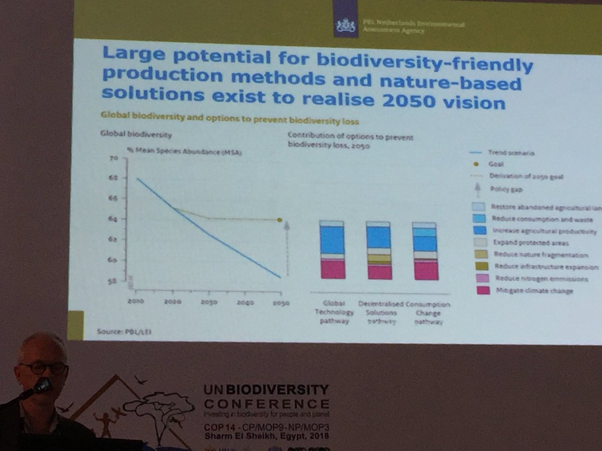 Carolyn Lundquist tweet media