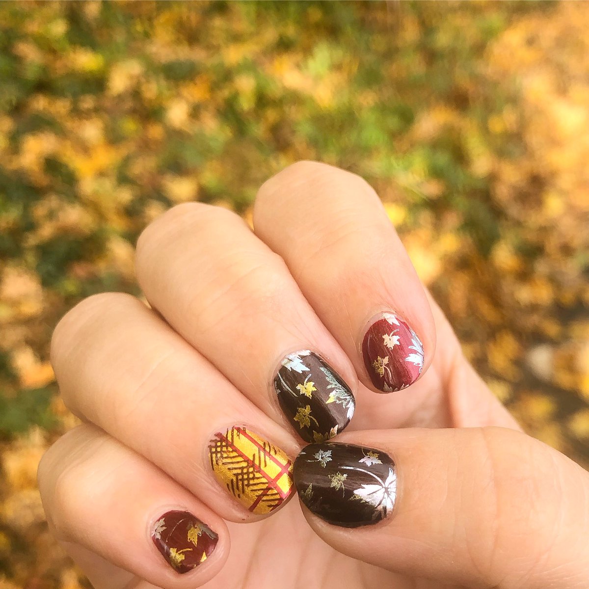 londonbrolly's tweet photo. Metallic fall leaf manicure 🍁 on a base of @OPI_PRODUCTS Ginger’s Revenge & I’m Not Really A Waitress with a plaid accent nail on @TwinkledT So Extra 💅🏻
.
#metallicnails #leafnails #plaidnails #fallnails https://t.co/vz1r43aDJo