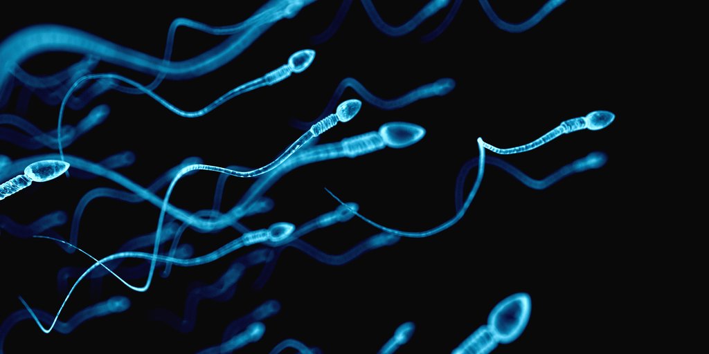 iviespagne's tweet photo. Est-il possible de devenir papa après une #vasectomie? La science dit que oui. Demandez un rendez-vous et nos spécialistes vous expliqueront comment. #futurepapa #PMA #PMAEspagne #ReproductionAssistée #FIV #Don #DonDOvocytes #IA #fertilité #grossesse #maman #désir #bébé https://t.co/xNnnHaFGiW