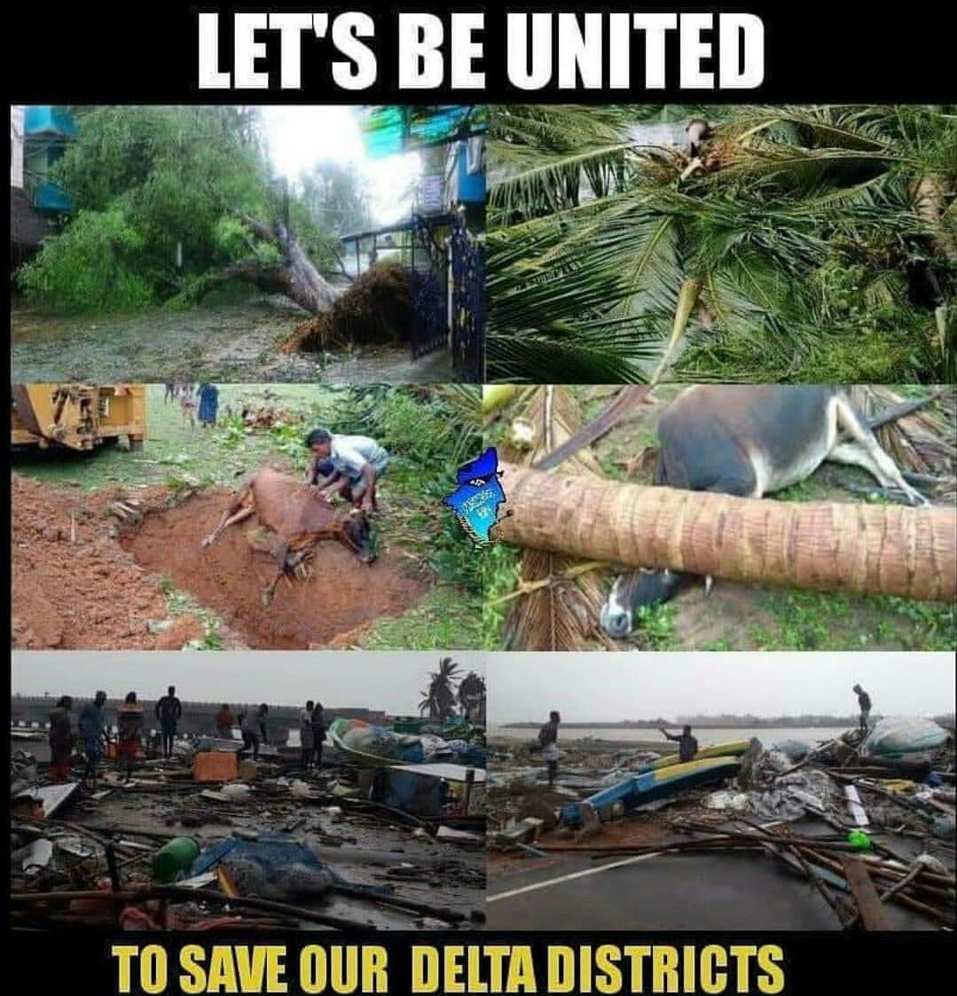Vickywaran_'s tweet photo. Dear media,
Make it sensational #SaveDelta #SaveDeltaPeoples #savedeltafarmers https://t.co/UVcJFgX0RO