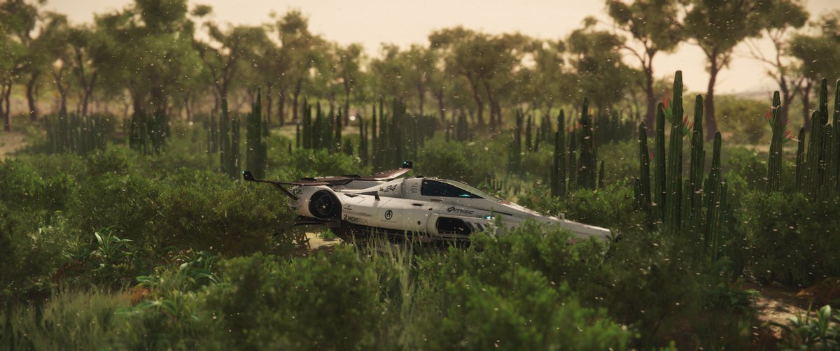 TrazosD's tweet image. Hurston biomes, and specially Savanna biome is my favorite feature released in 2018, so thankful to @RobertsSpaceInd for this impressive and variety environments!. 🌲🌴🎋🌳🌾🌿🌵  

#StarCitizen #Thanksgiving 🚀