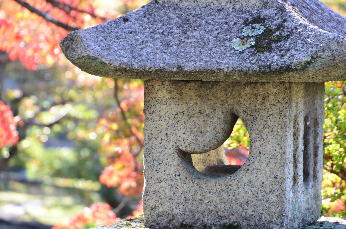 VisitKyotoNara's tweet photo. Sento Imperial Palace in Autumn
#Kyoto
November 17, 2018
Photo by Mr. Kiyohisa Mitamura
#SentoImperialPalace
#KiyohisaMitamura
#MitamuraKiyohisa
#京都
#仙洞御所
#三田村精久 https://t.co/zlWbB7q8Er
