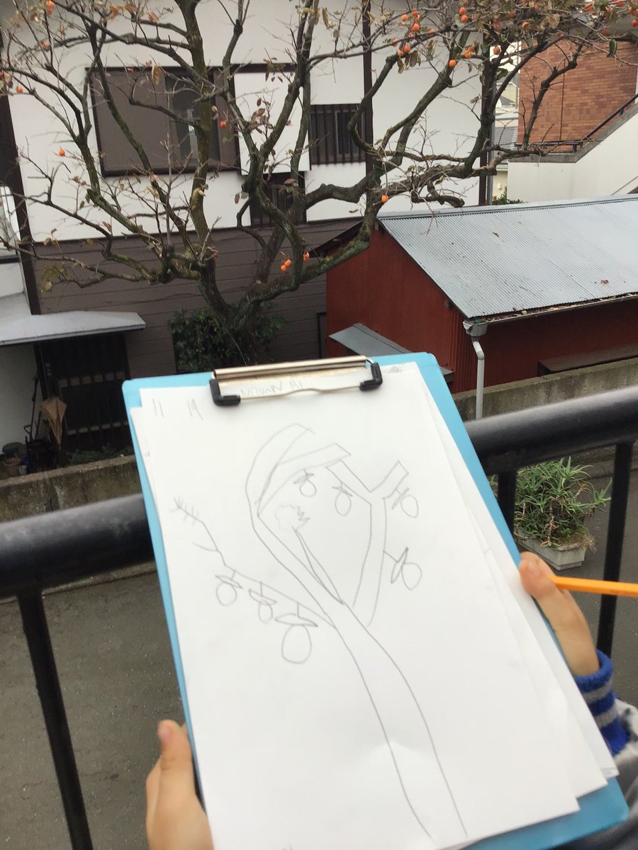 YISbrown's tweet photo. Nature sketching as we observe the kaki (persimmon) tree and hope for the birds to alight. Will the white eyes return? https://t.co/9NWyqMXLpE
