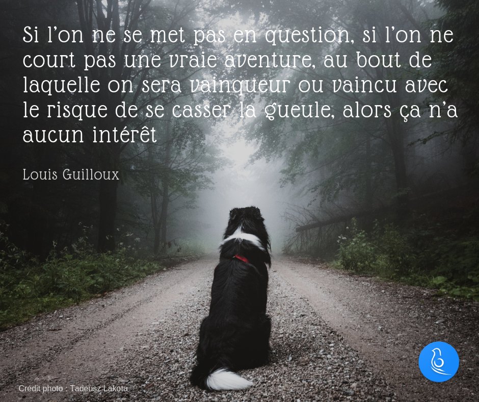 soyoutrip's tweet photo. "Si l’on ne se met pas en question, si l’on ne court pas une vraie aventure, au bout de laquelle on sera vainqueur ou vaincu avec le risque de se casser la gueule, alors ça n’a aucun intérêt" - Louis Guilloux
#citation #voyage #aventure #roadTrip https://t.co/OIhStMf2Ee
