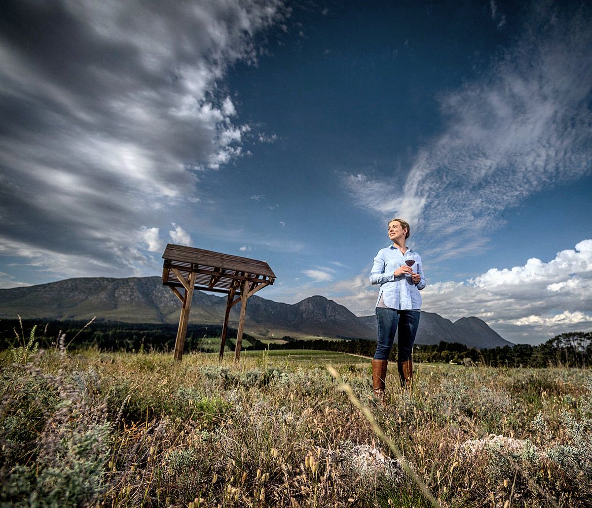 "Twenty years from now, you will be more disappointed by the things that you didn’t do, than by the ones you did do, so throw off the bowlines, sail away from safe harbour and catch the trade winds in your sails. Explore, Dream, Discover." ~ Mark Twain
-
#MondayMotivation #wine