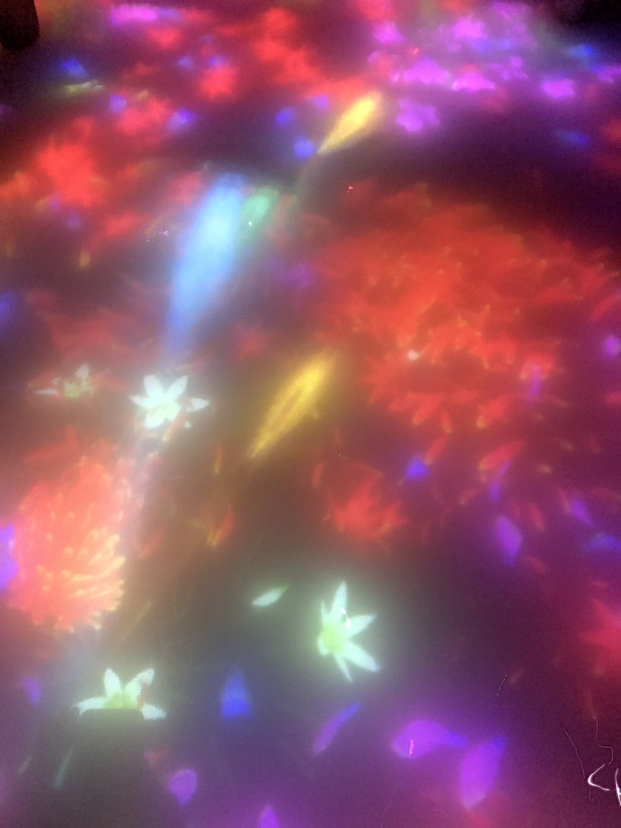 Being Tokyo tweet media