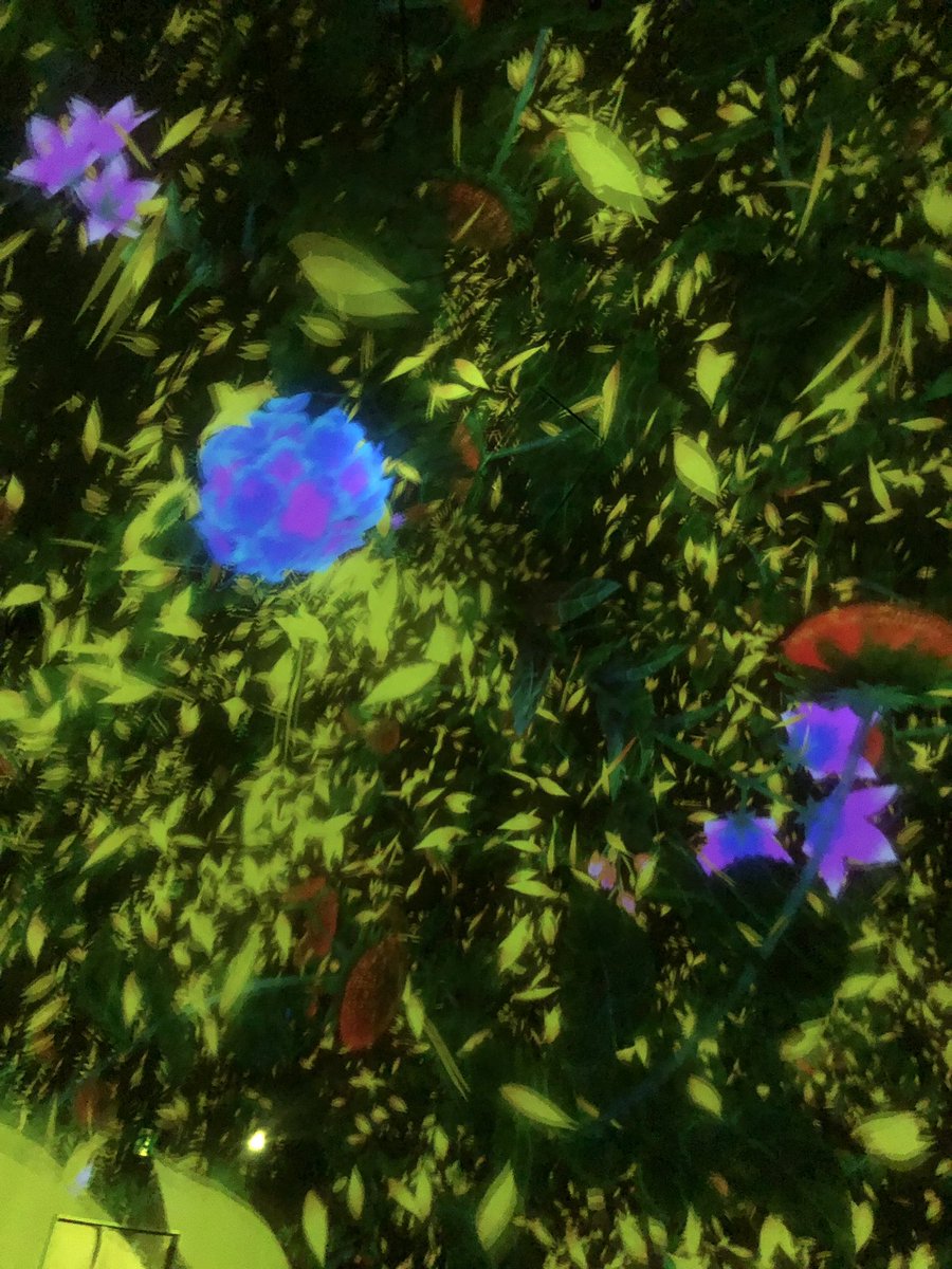 Being Tokyo tweet media