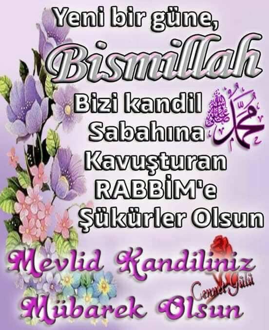 Burhan (@burhanertosun) on Twitter photo 